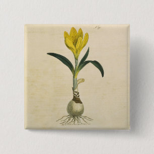 Amaryllis Tulip Botanical Garden Flower 15 Cm Square Badge