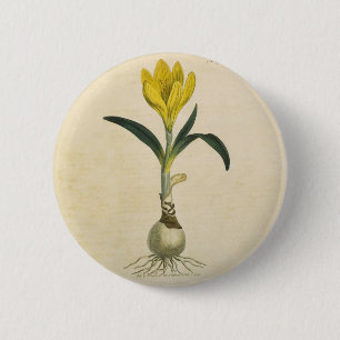Amaryllis Tulip Botanical Garden Flower 6 Cm Round Badge