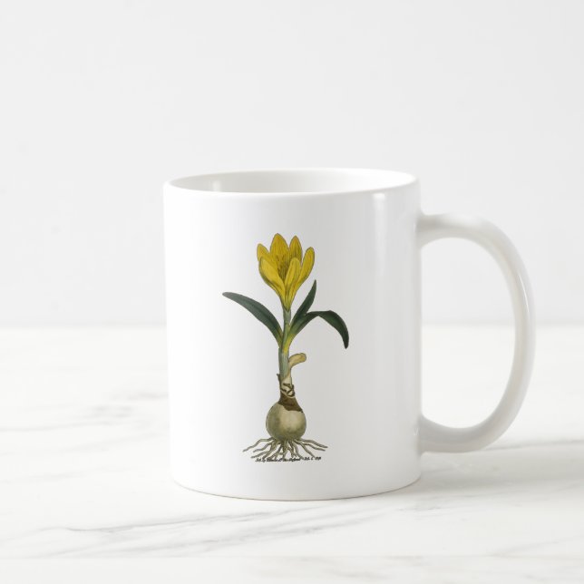 Amaryllis Tulip Botanical Garden Flower Coffee Mug (Right)