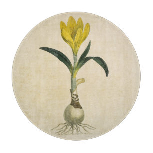 Amaryllis Tulip Botanical Garden Flower Cutting Board