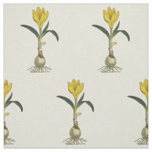 Amaryllis Tulip Botanical Garden Flower Fabric