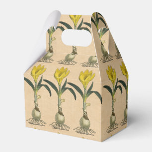 Amaryllis Tulip Botanical Garden Flower Favour Box