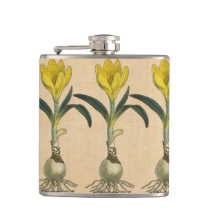 Amaryllis Tulip Botanical Garden Flower Hip Flask