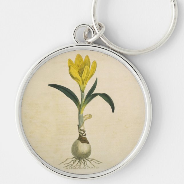 Amaryllis Tulip Botanical Garden Flower Key Ring (Front)