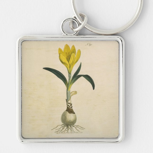 Amaryllis Tulip Botanical Garden Flower Key Ring (Front)