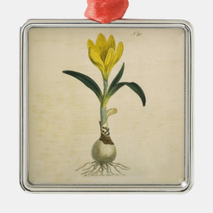 Amaryllis Tulip Botanical Garden Flower Metal Tree Decoration