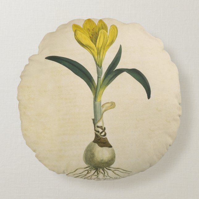 Amaryllis Tulip Botanical Garden Flower Round Cushion (Front)