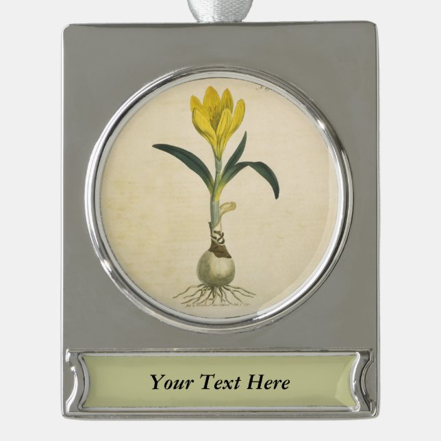 Amaryllis Tulip Botanical Garden Flower Silver Plated Banner Ornament (Front)