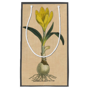 Amaryllis Tulip Botanical Garden Flower Small Gift Bag