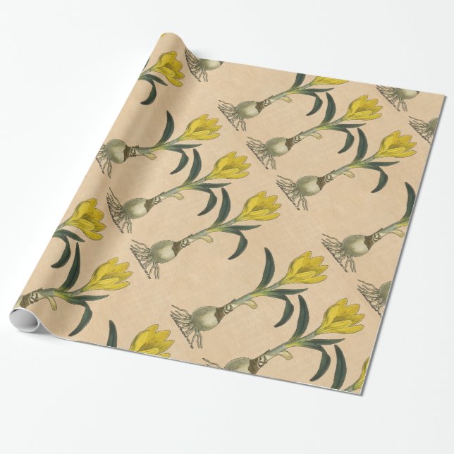Amaryllis Tulip Botanical Garden Flower Wrapping Paper (Unrolled)