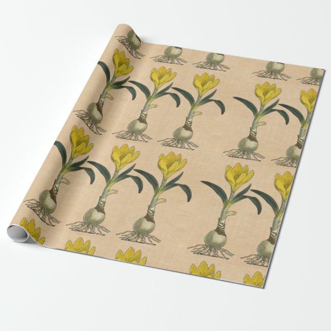 Amaryllis Tulip Botanical Garden Flower Wrapping Paper (Unrolled)