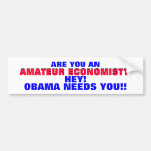AMATEUR ECONOMIST?? HEY! ..OBAMA NEEDS YOU! BUMPER STICKER