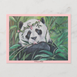 Amato Postcard
