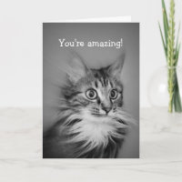 Amazed Cat With Neck Ruff Happy Birthday