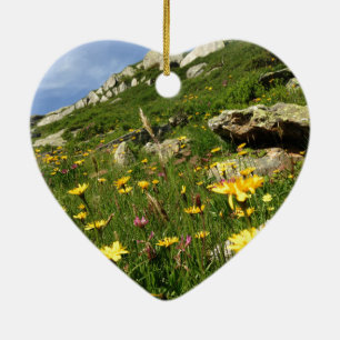 Amazing! Alpine flowers Ceramic Ornament
