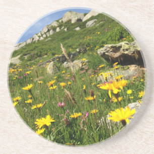 Amazing! Alpine flowers Coaster