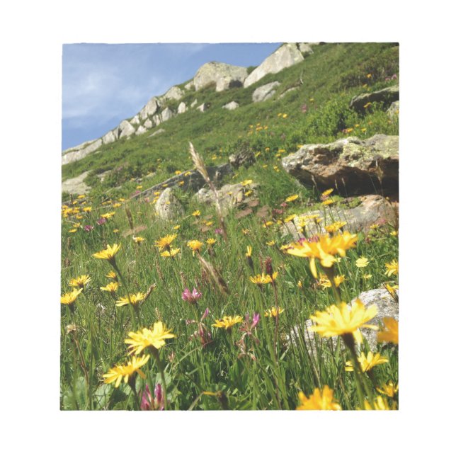 Amazing! Alpine flowers Notepad (Front)