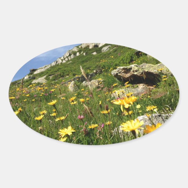 Amazing! Alpine flowers Oval Sticker (Front)