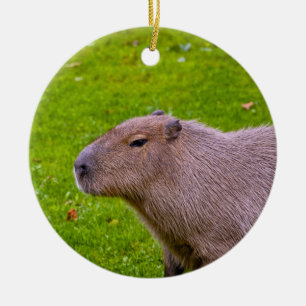 Amazing Animal Capybara Ceramic Ornament