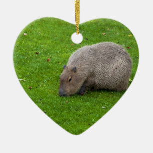 Amazing Animal Capybara Ceramic Tree Decoration