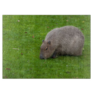 Amazing Animal Capybara Cutting Board