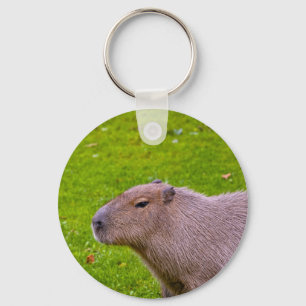 Amazing Animal Capybara Key Ring