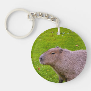 Amazing Animal Capybara Key Ring