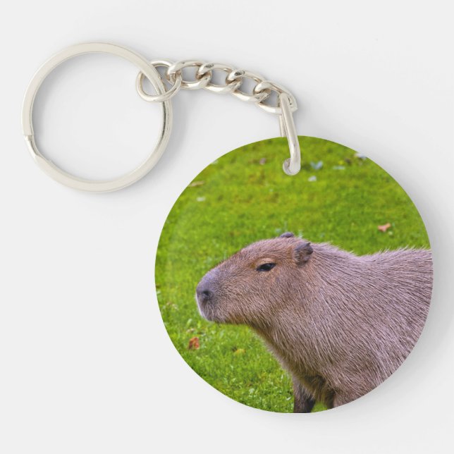 Amazing Animal Capybara Key Ring (Front)