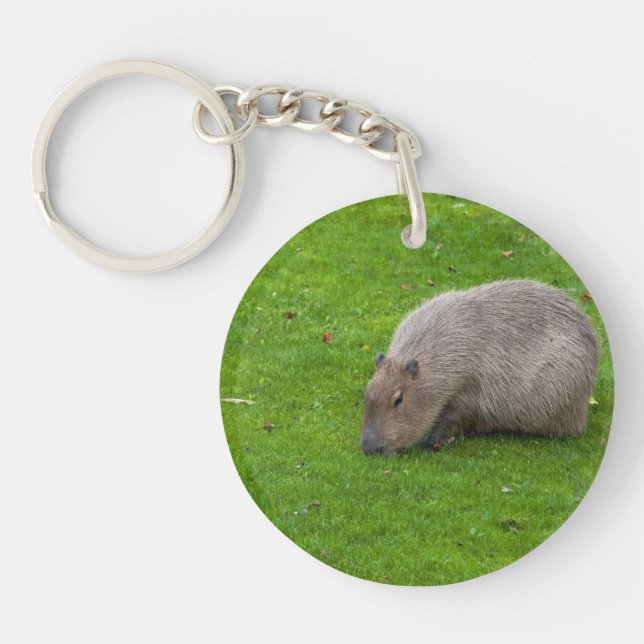 Amazing Animal Capybara Key Ring (Front)