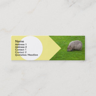Amazing Animal Capybara Mini Business Card
