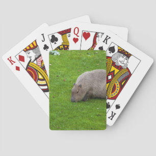 Amazing Animal Capybara Playing Cards