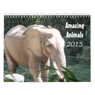 Amazing Animals 2015 Calendar
