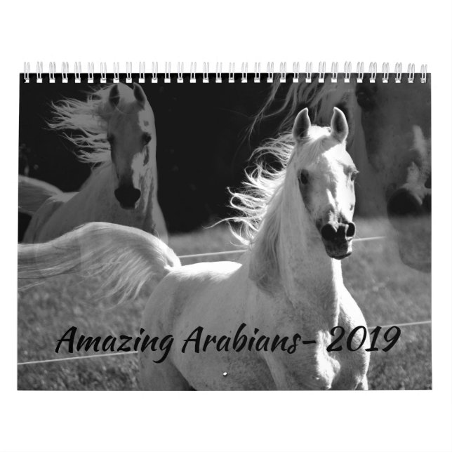 Amazing Arabians- a 2019 Calendar (Cover)