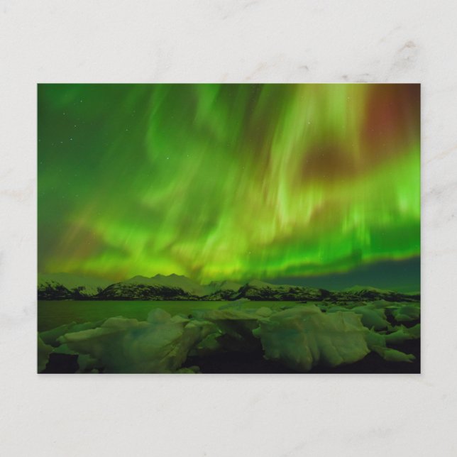 Amazing Aurora Postcard (Front)