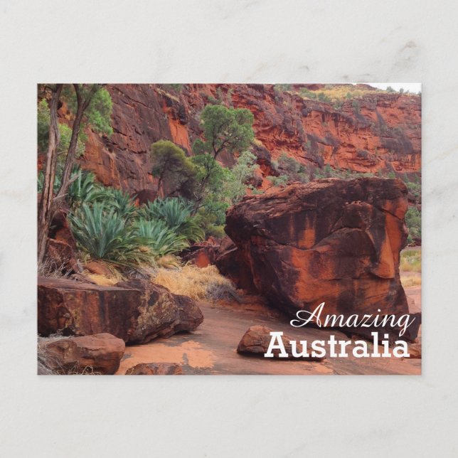 Amazing Australia postcard (Front)