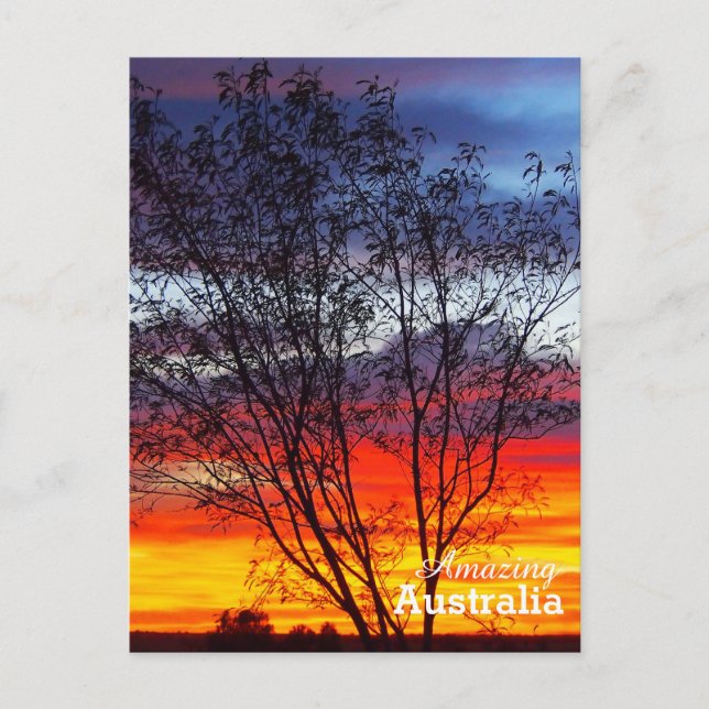 Amazing Australia postcard (Front)