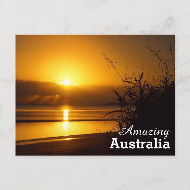 Amazing Australia postcard (Front)
