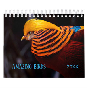 Amazing BIRDS 2019 Photography Calendar