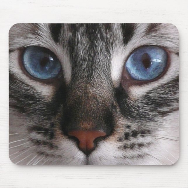"Amazing Blue Eyes" Kitty Mouse Pad (Front)