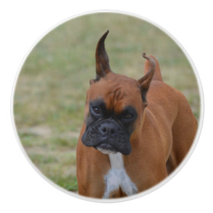Amazing Boxer Dog Ceramic Knob
