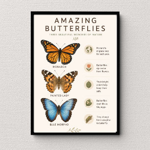Amazing Butterflies Educational Poster