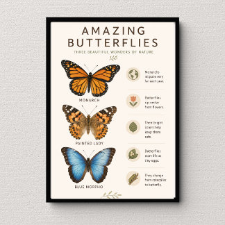 Amazing Butterflies Educational Poster