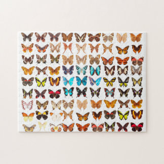 Amazing Butterfly Collection Design Jigsaw Puzzle