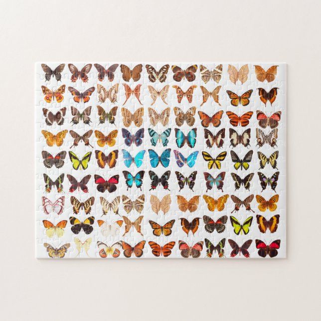 Amazing Butterfly Collection Design Jigsaw Puzzle (Horizontal)