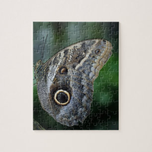 Amazing Caligo Eurilochus Butterfly Jigsaw Puzzle