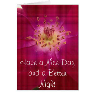 Amazing Checked Rose.jpg