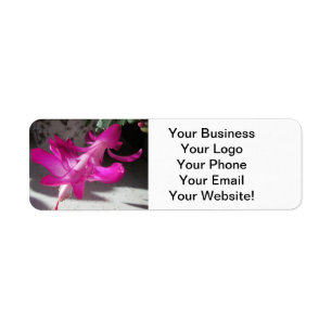 Amazing Christmas Cactus Return Address Label