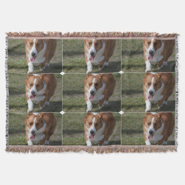 Amazing Corgi Throw Blanket (Front)