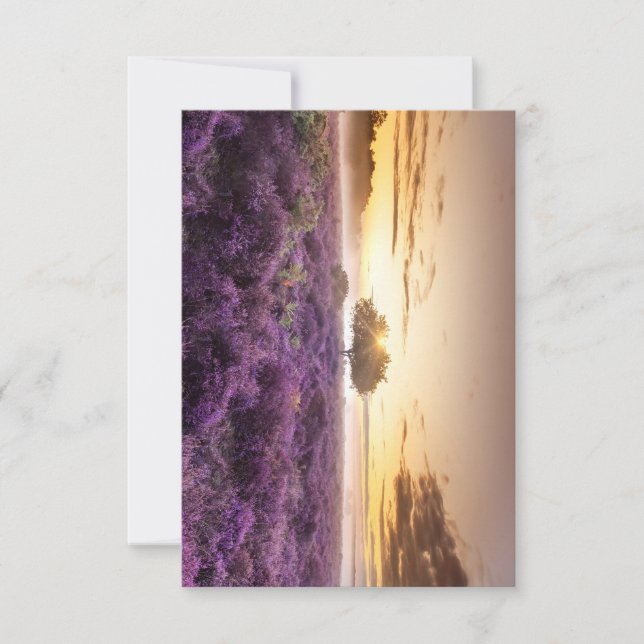 Amazing dawn sunrise single tree & purple heather RSVP card (Front)