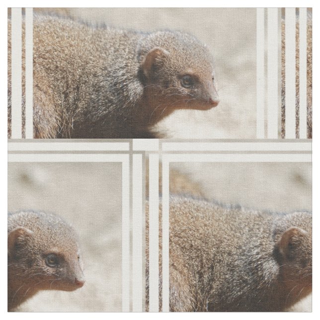 Amazing Dwarf Mongoose Fabric (Close Up)
